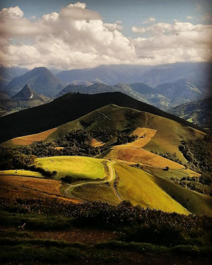 Abury, Tables Et Chambres , Randos Et Bien Etre A La Montagne Barcus Екстер'єр фото
