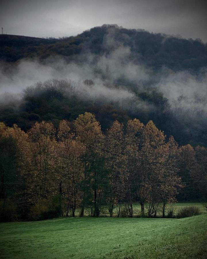 Abury, Tables Et Chambres , Randos Et Bien Etre A La Montagne Barcus Екстер'єр фото